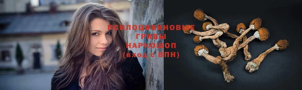 каннабис Алзамай