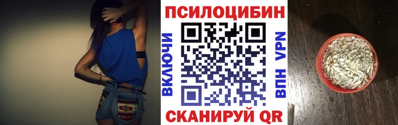 нарко площадка состав Чебаркуль Псилоцибиновые грибы MAGIC MUSHROOMS